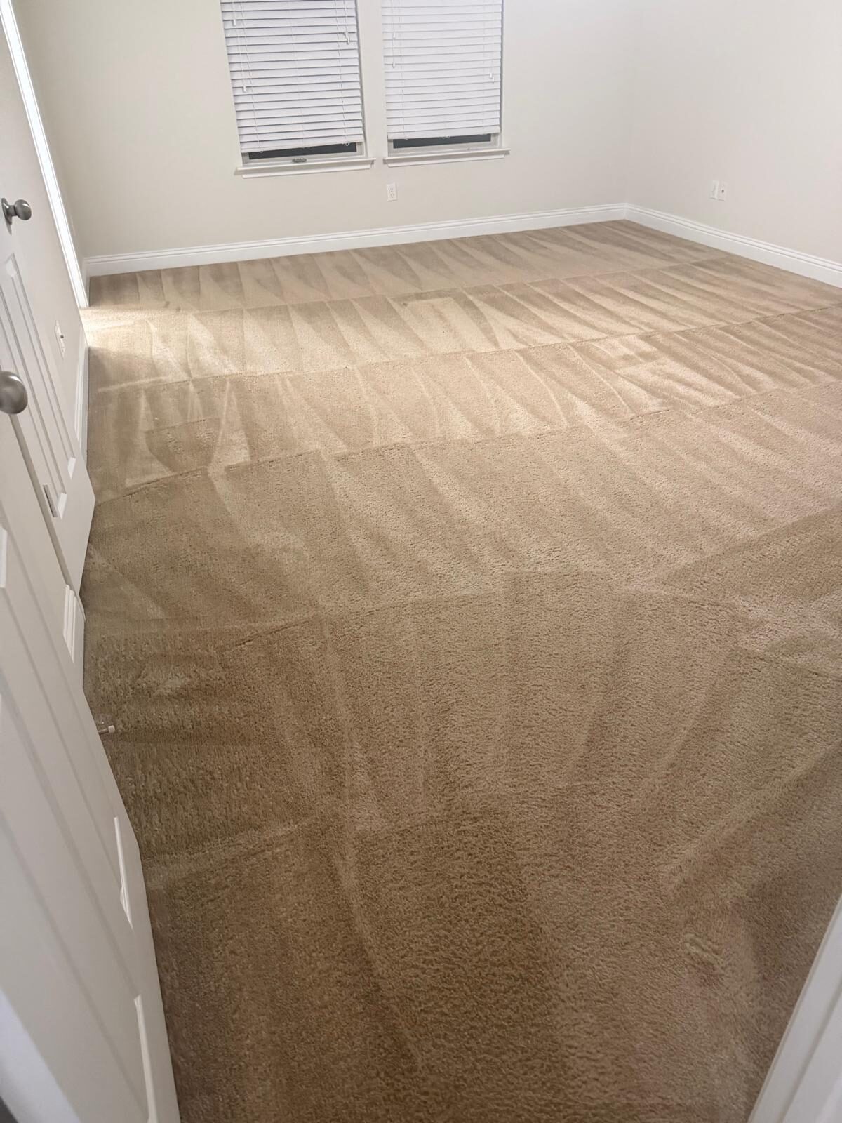 Alfombra de recámara recién limpia con líneas de aspirado en una casa de Austin